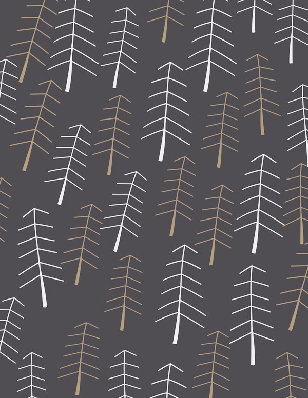 Simple Winter Pine Tree Forest