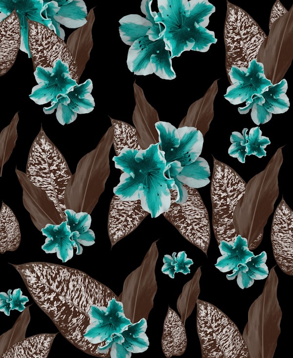 Jungle Night Dream 1