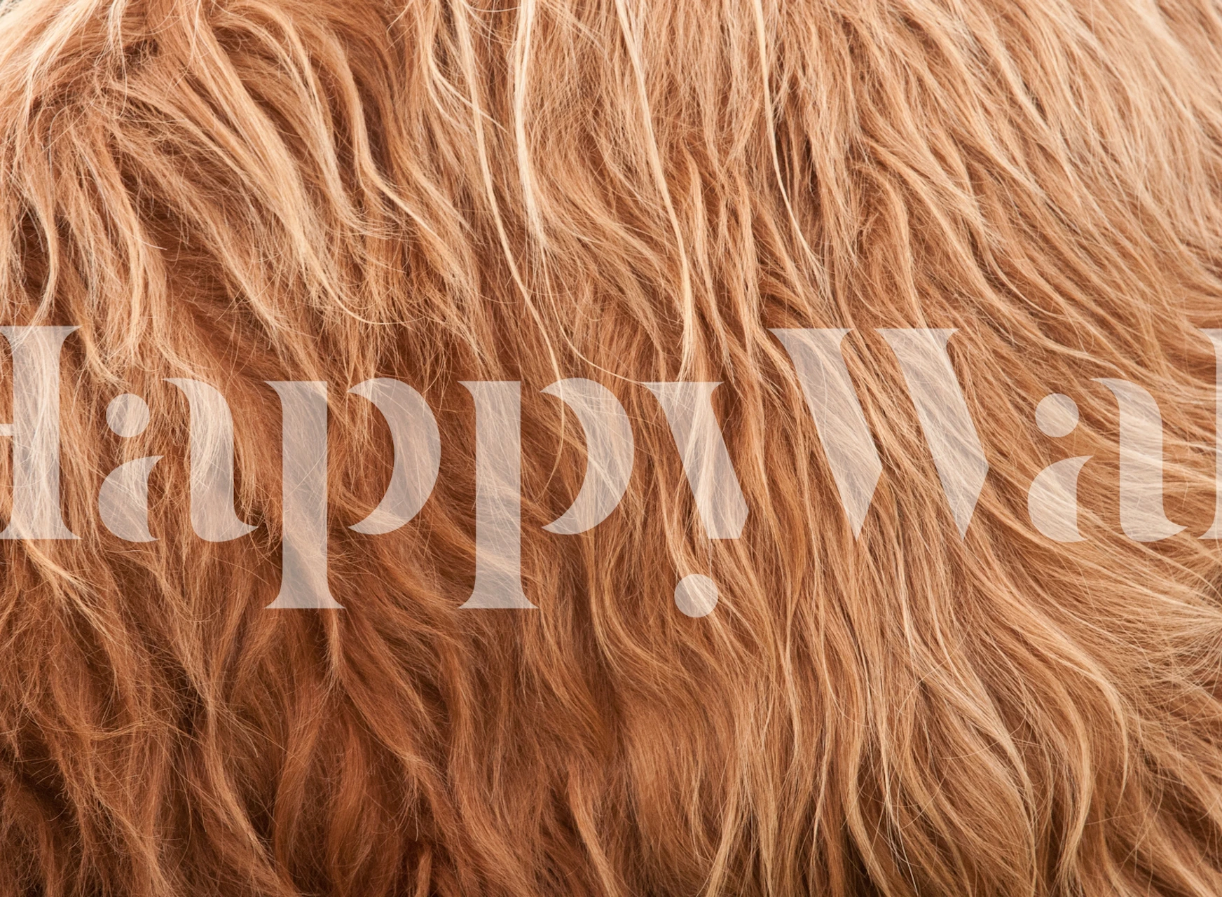 Textured curly brown fur pattern wallpaper