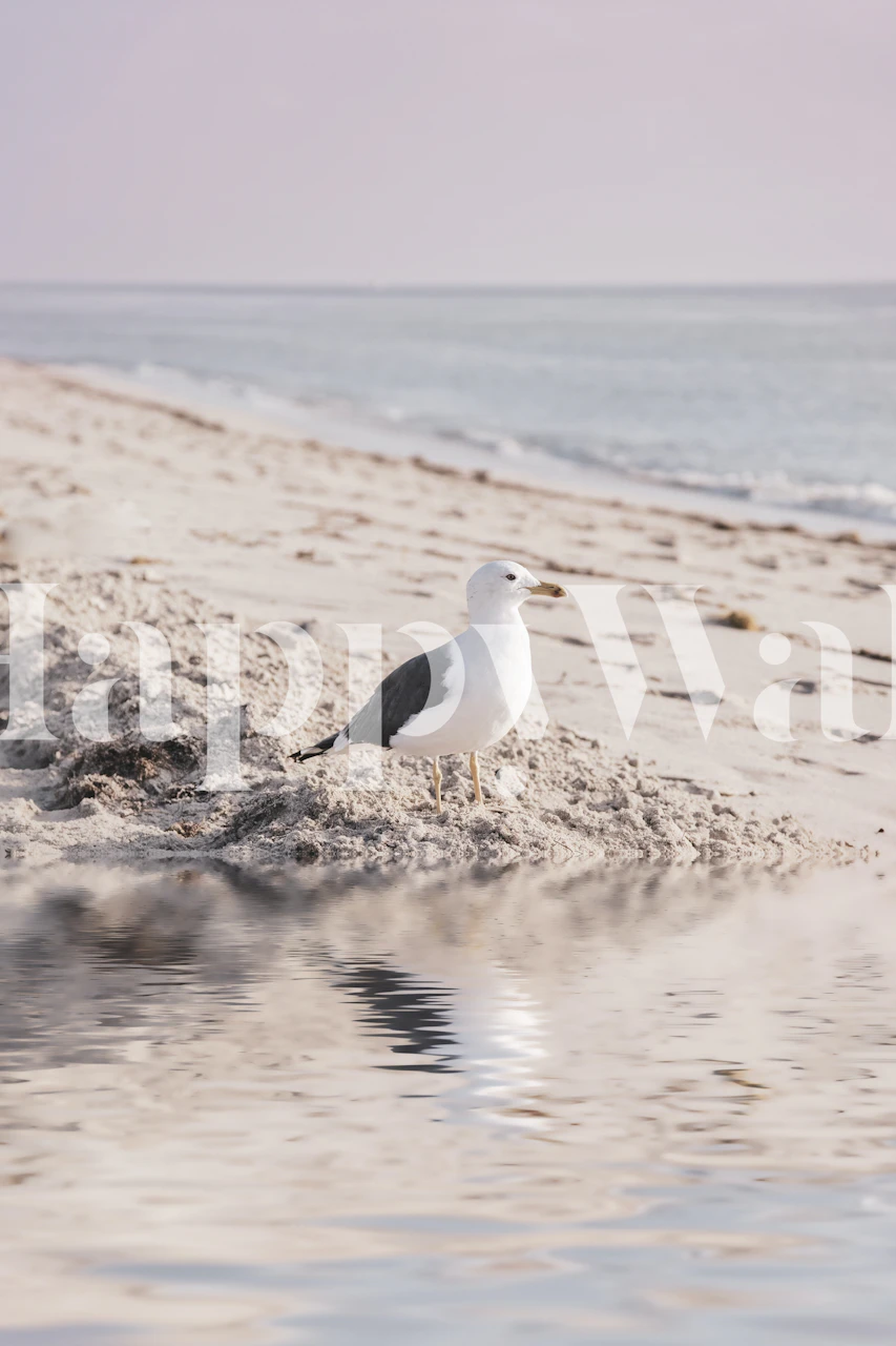 Seagull on sandy beach with pastel colors wallpaper