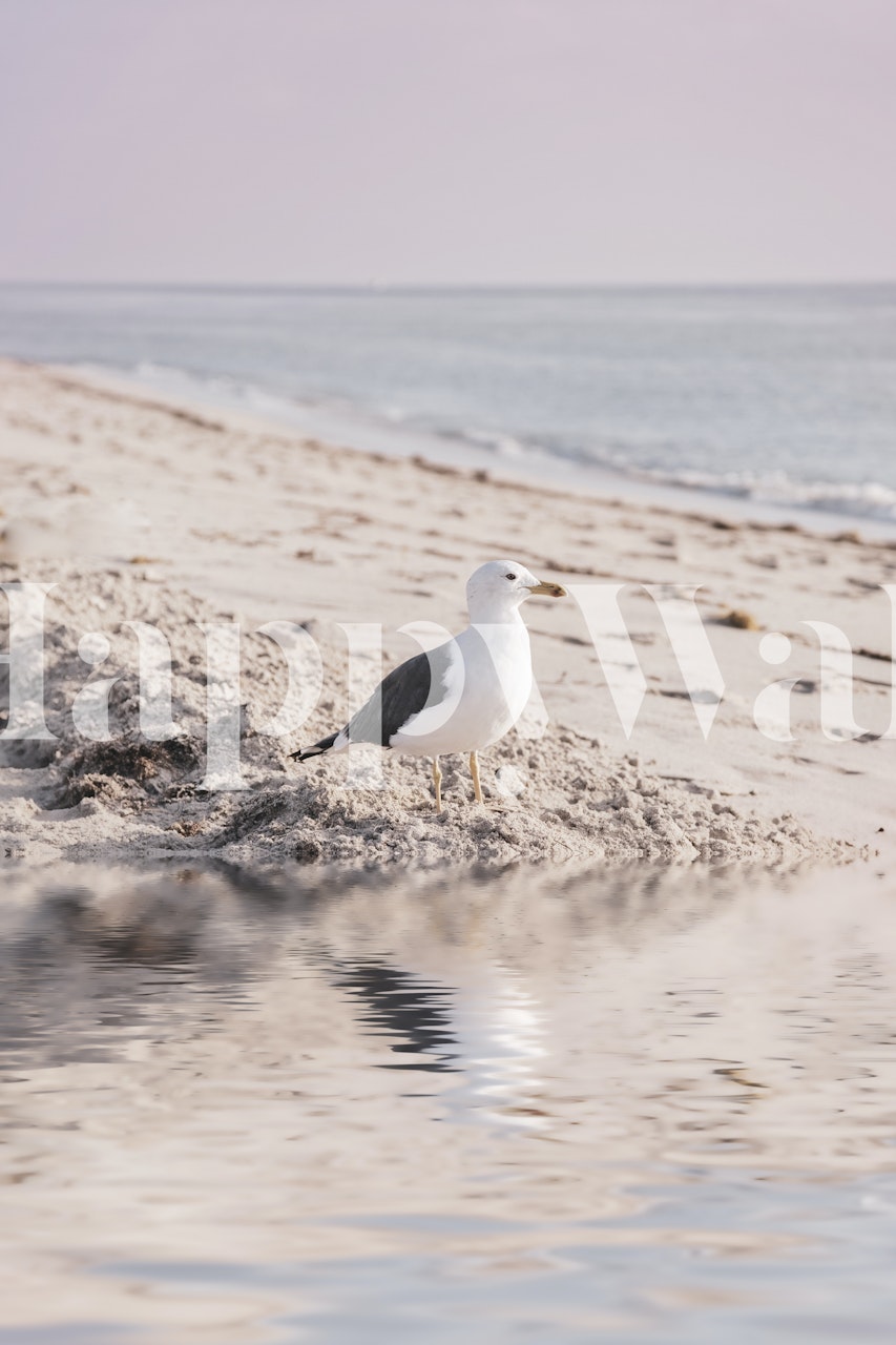 Sea Gull Pastel Seaview behang in een kamer