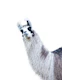 Cute Llama 1