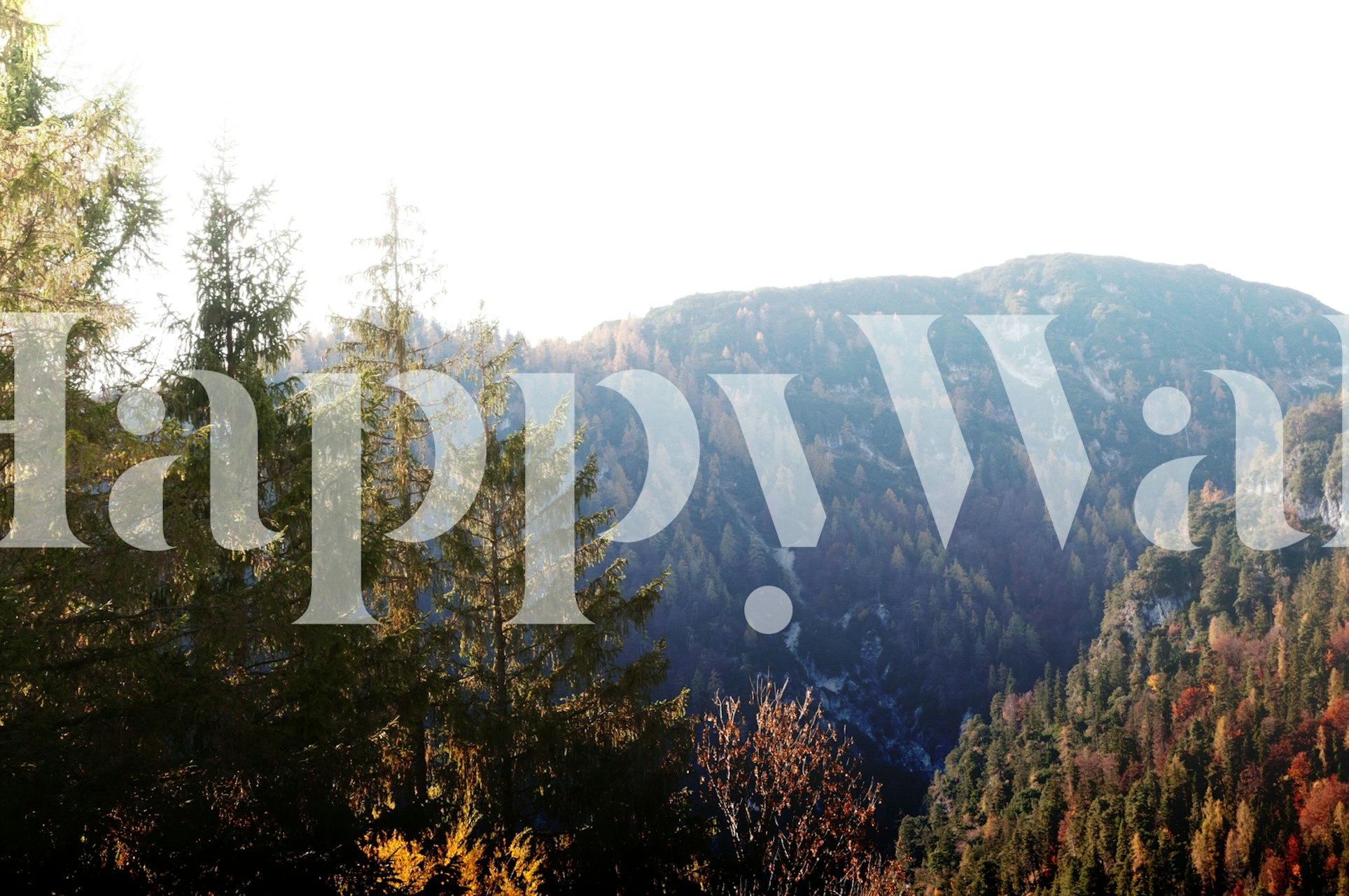 Mountain landscape with trees and vibrant autumn colors wallpaper