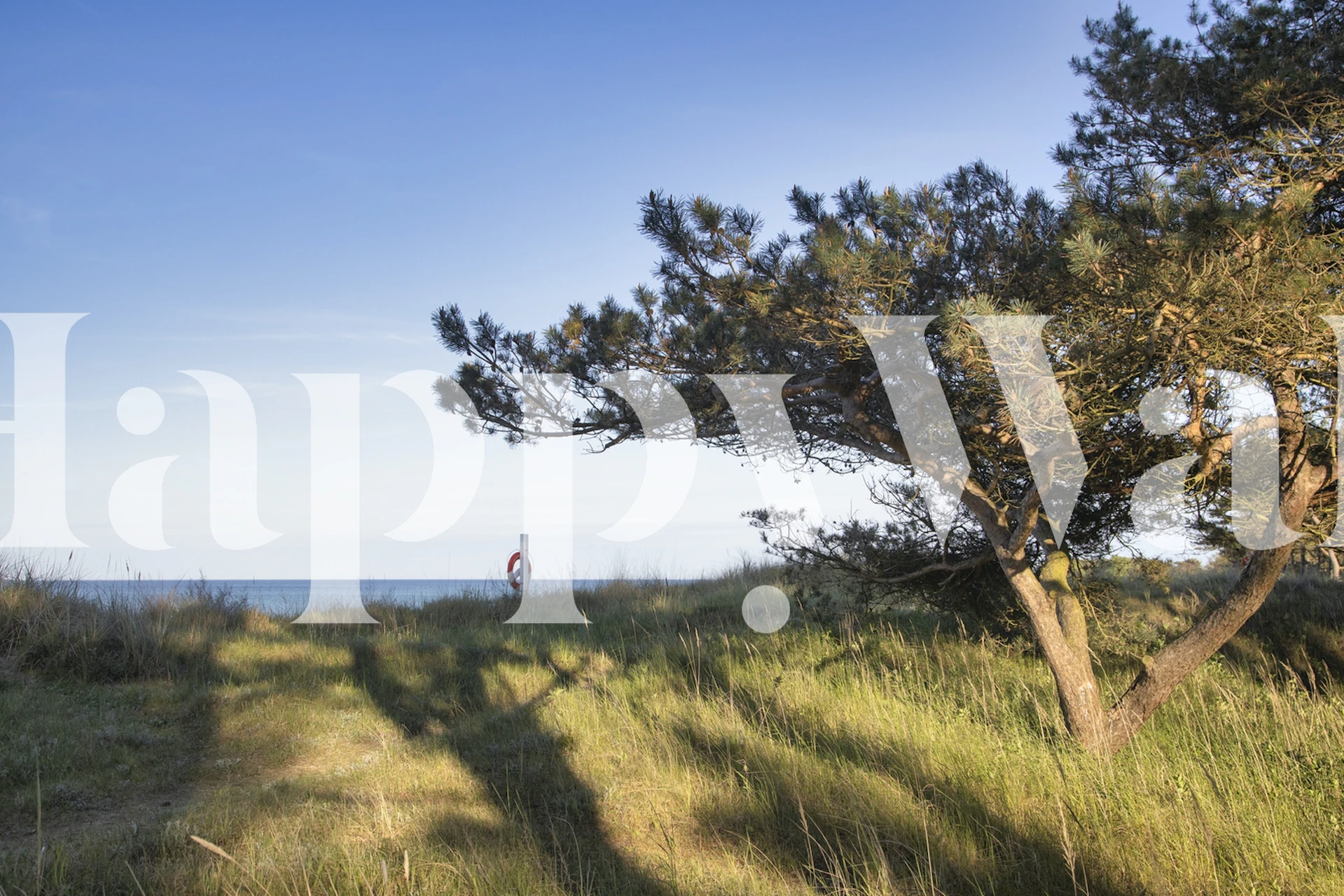 Baltic Sea View With Pine papier peint dans une chambre