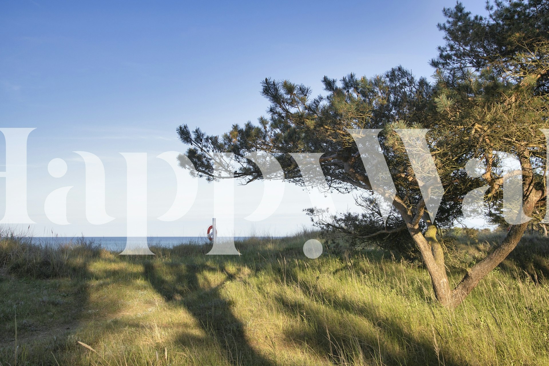 Baltic Sea View With Pine papel de parede em um quarto