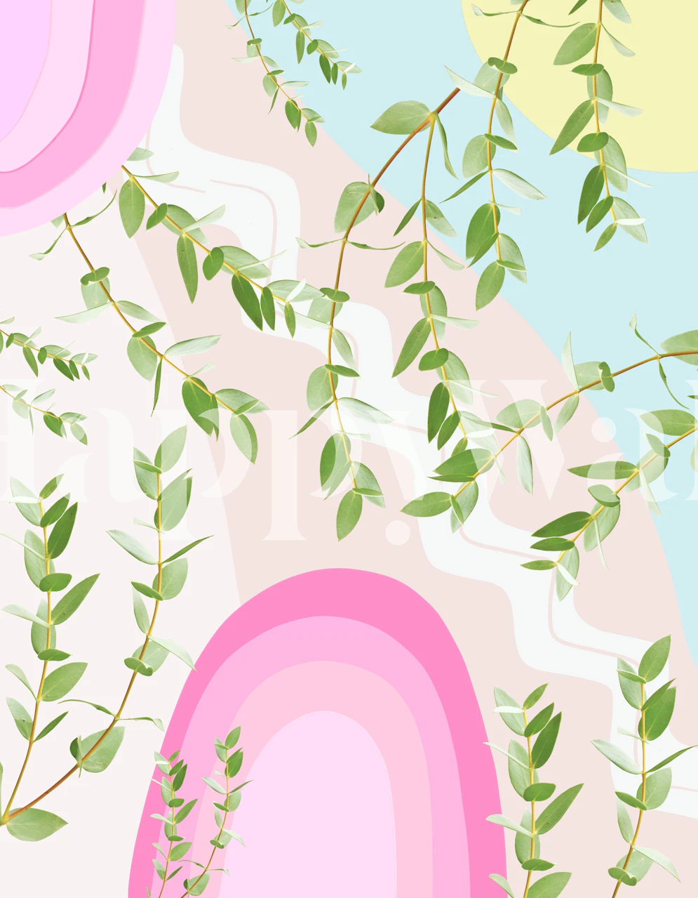 Eucalyptus Rainbow Dream 4 wallpaper displayed