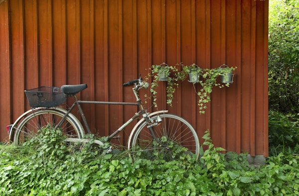 I wanna ride my bicycle