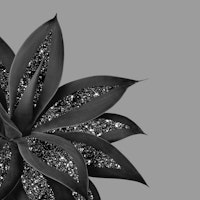 Agave Finesse Glitter Glam 10 papiers peint