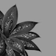 Agave Finesse Glitter Glam 10