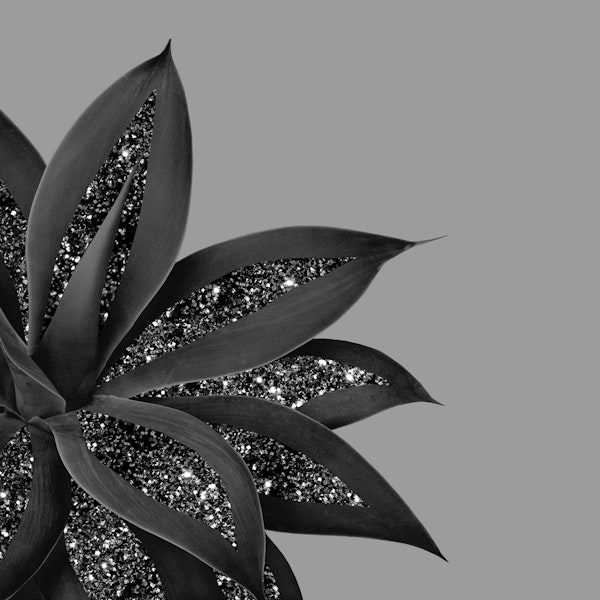 Agave Finesse Glitter Glam 10