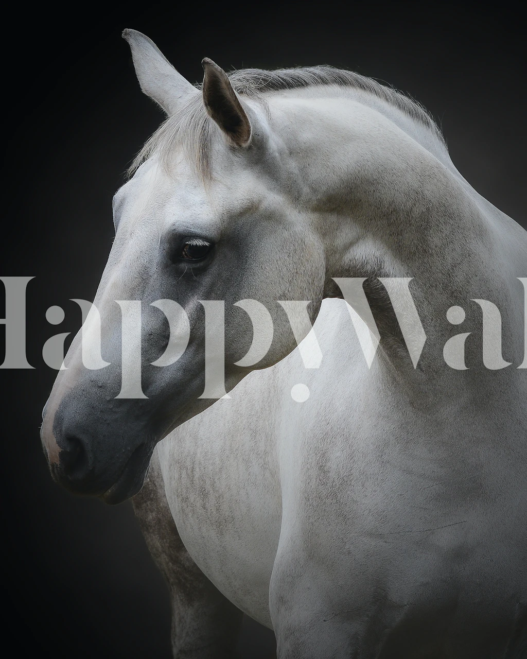 Elegant horse wallpaper in a stylish room