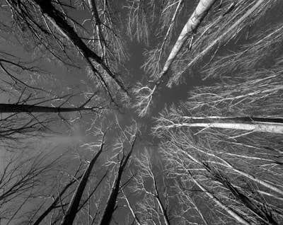 Τοιχογραφία