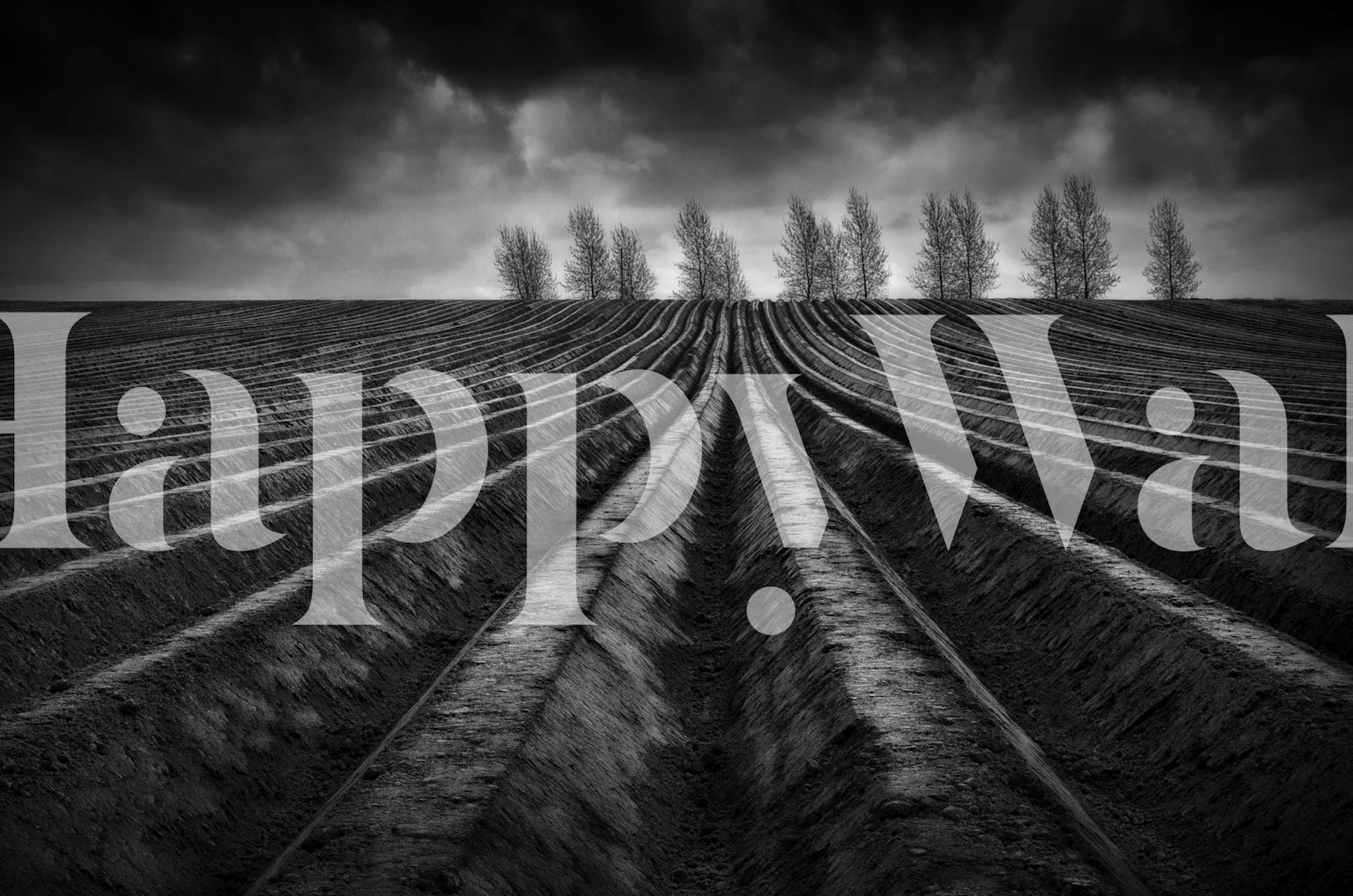 Black and white farm field with curved plowed rows wallpaper