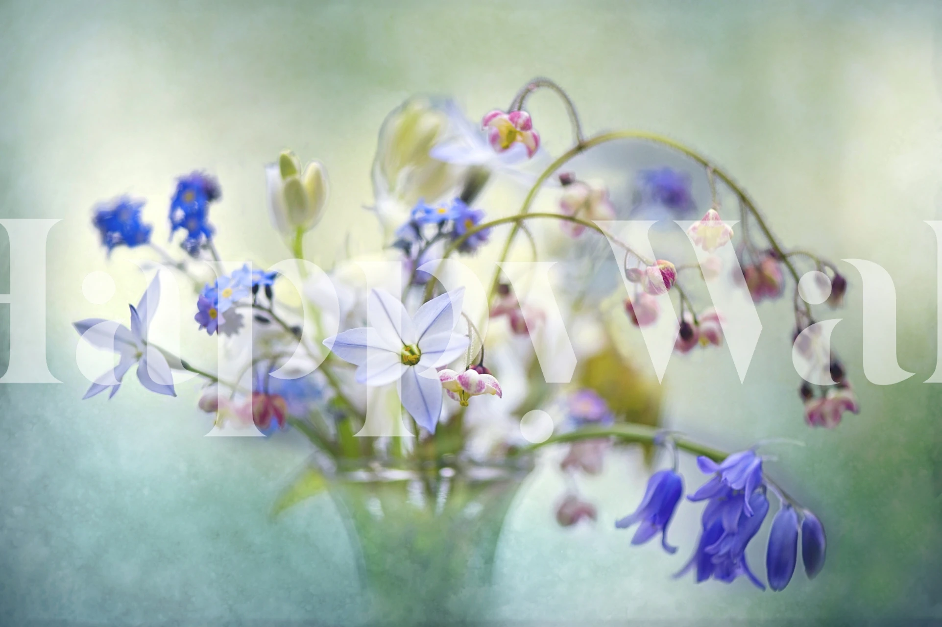 Un racimo de delicadas flores primaverales en un enfoque suave con colores pastel