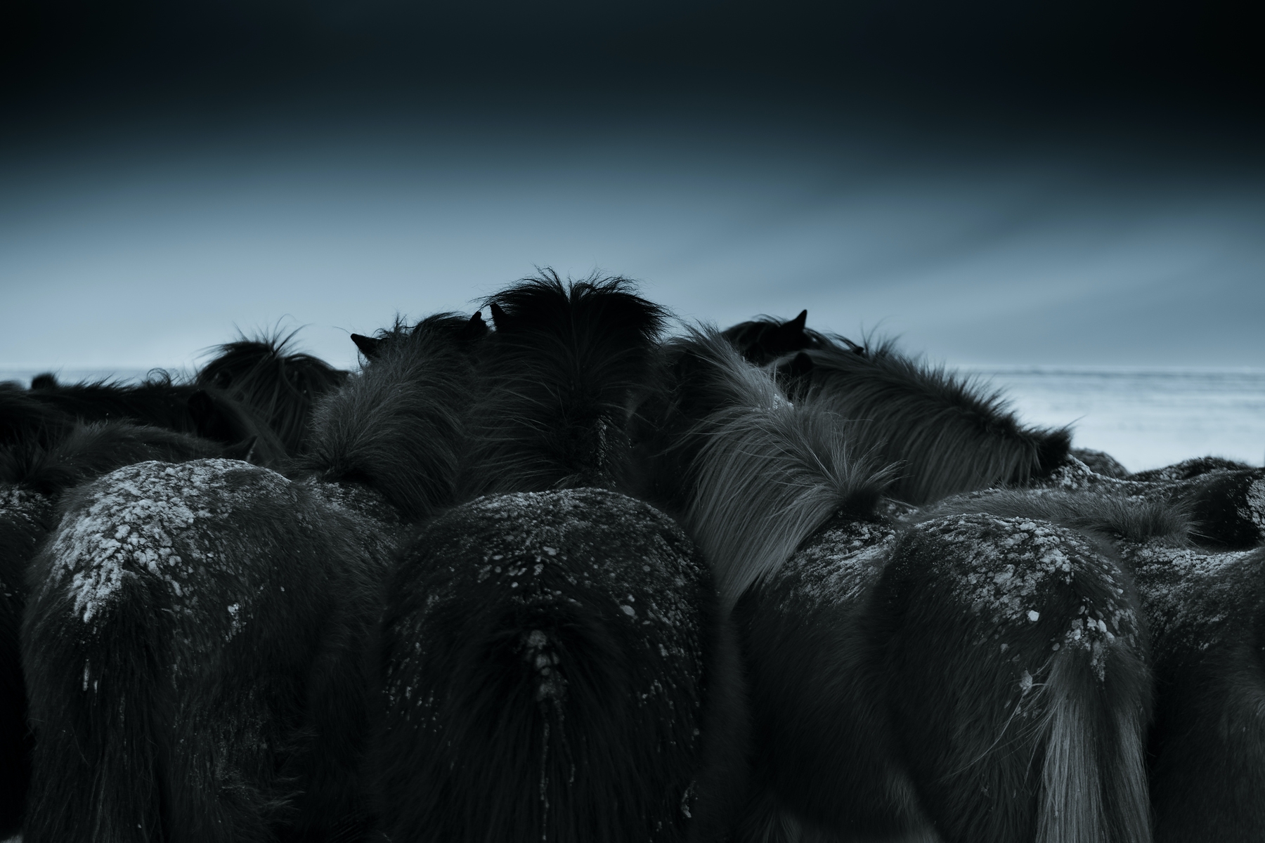 Get Cozy with Our Cold Weather Wallpaper - Happywall