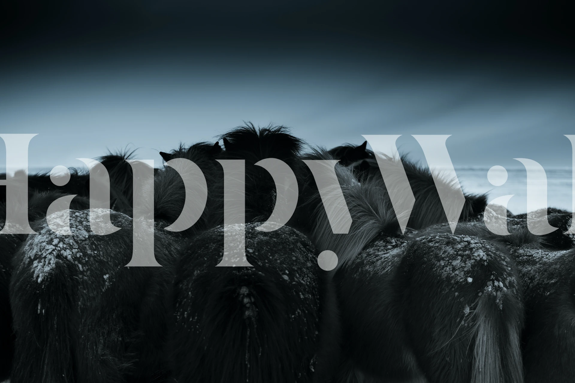 Cold weather wallpaper design in a room