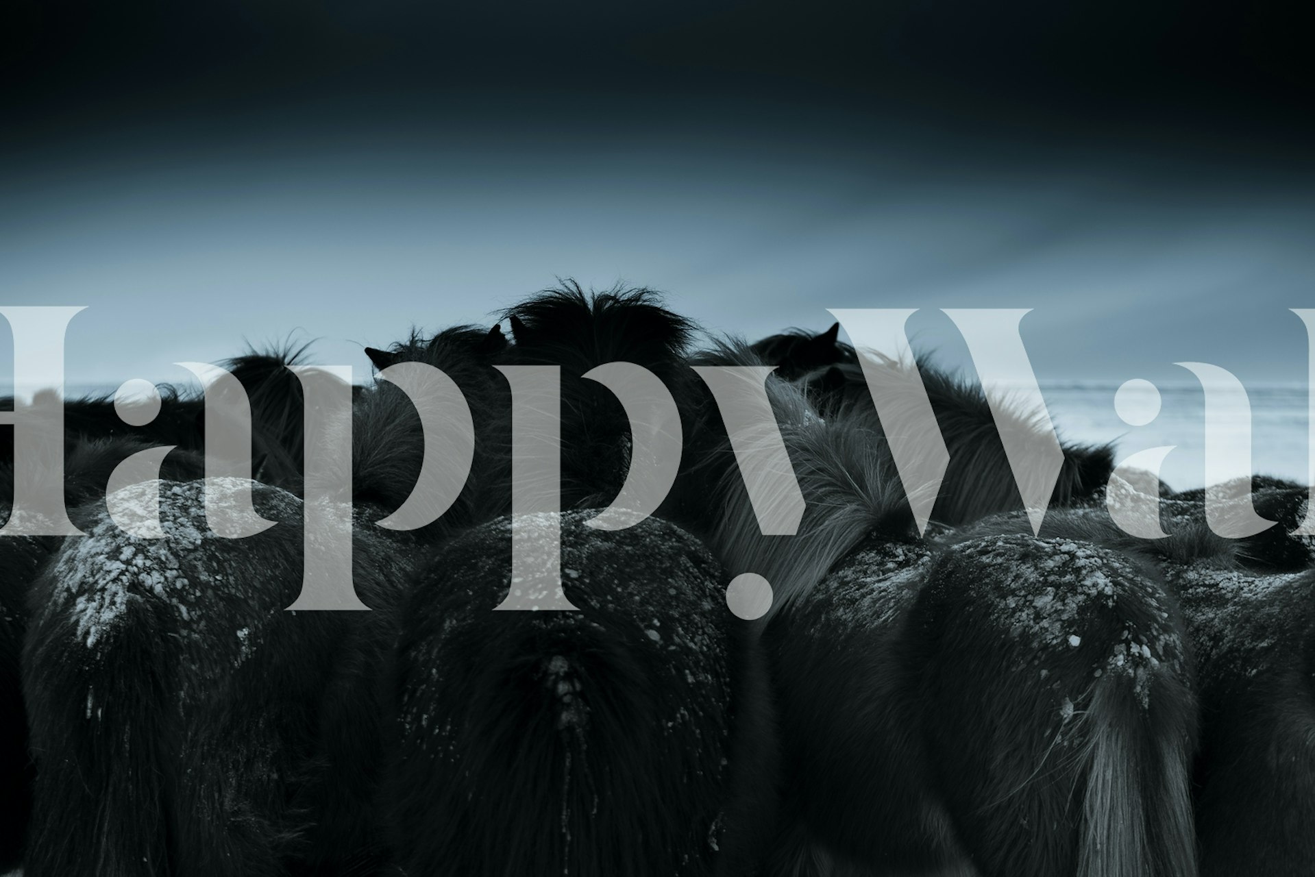 Cold weather wallpaper design in a room