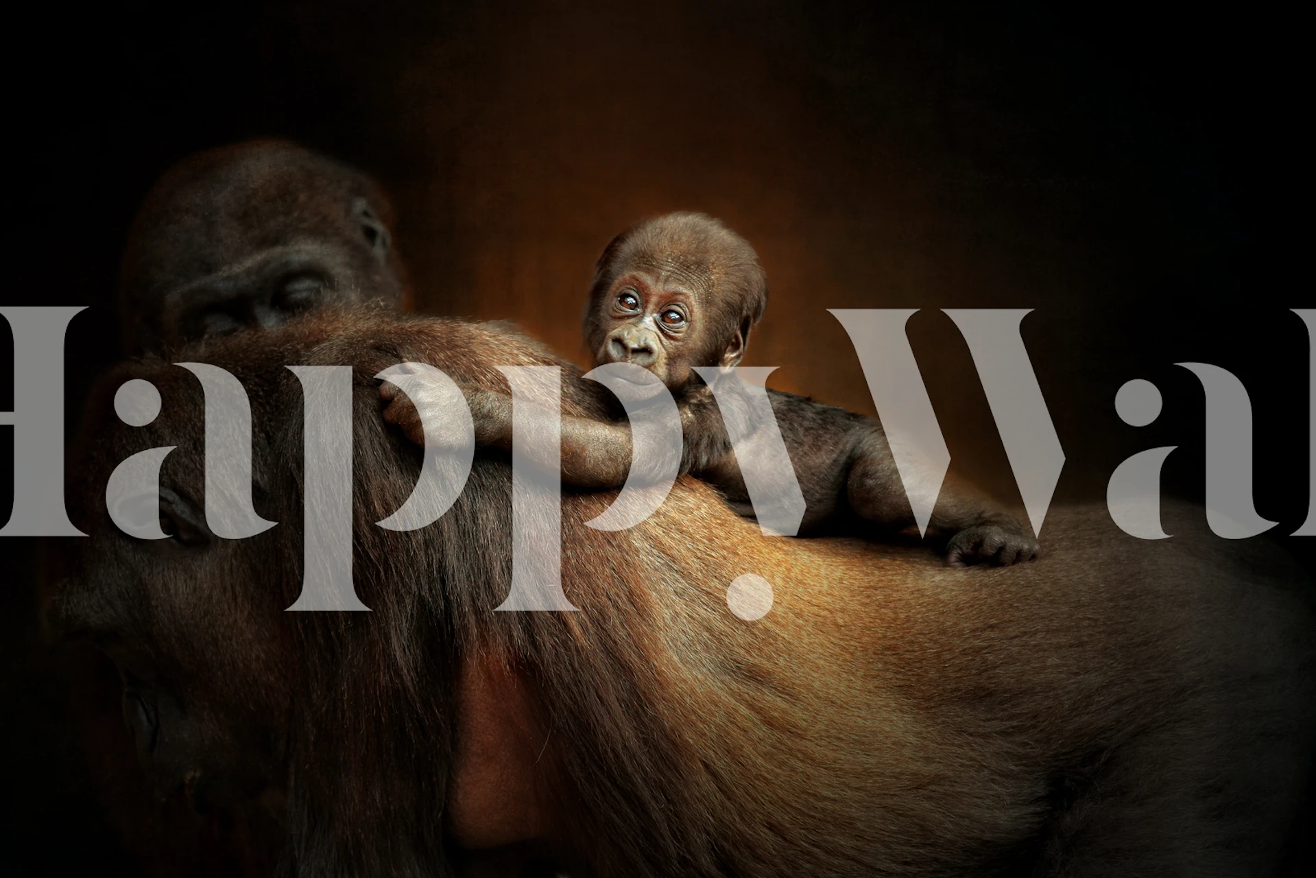 Lively wallpaper design for interiors