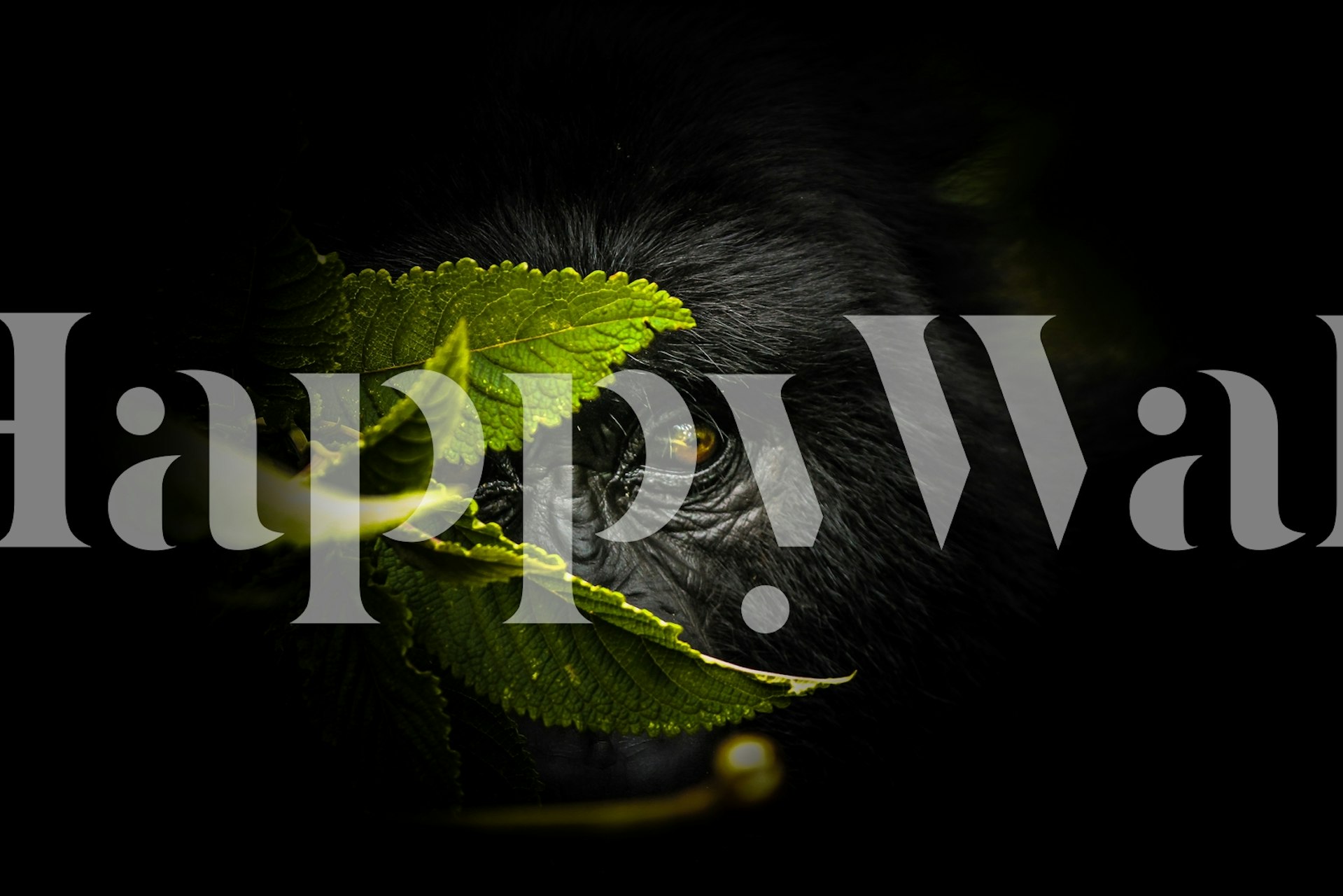 Mistični zidni mural s okom koji viri kroz zeleno lišće na tamnoj pozadini, pod nazivom Keeping Secrets.