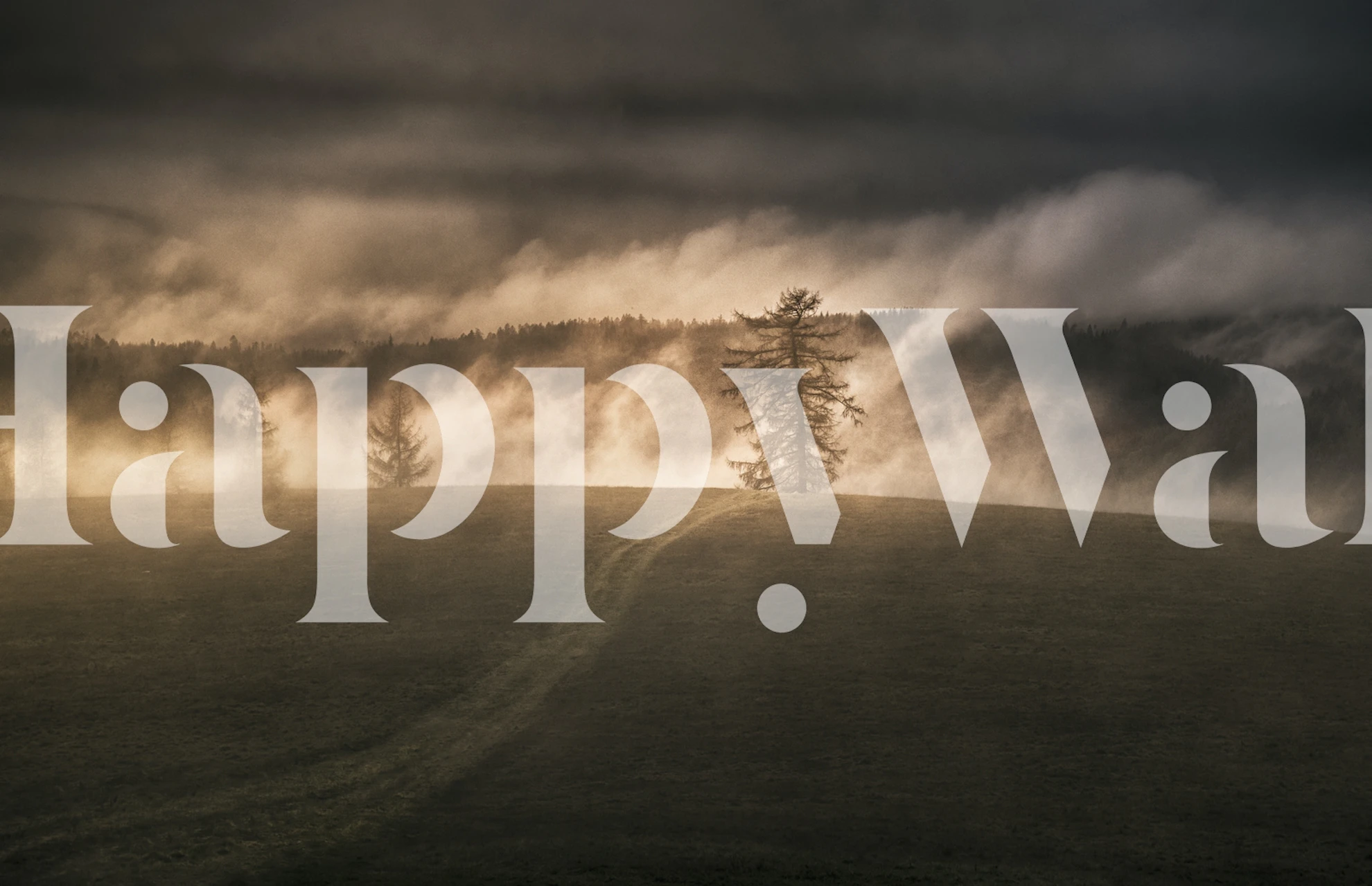 Misty forest landscape with trees and fog wallpaper