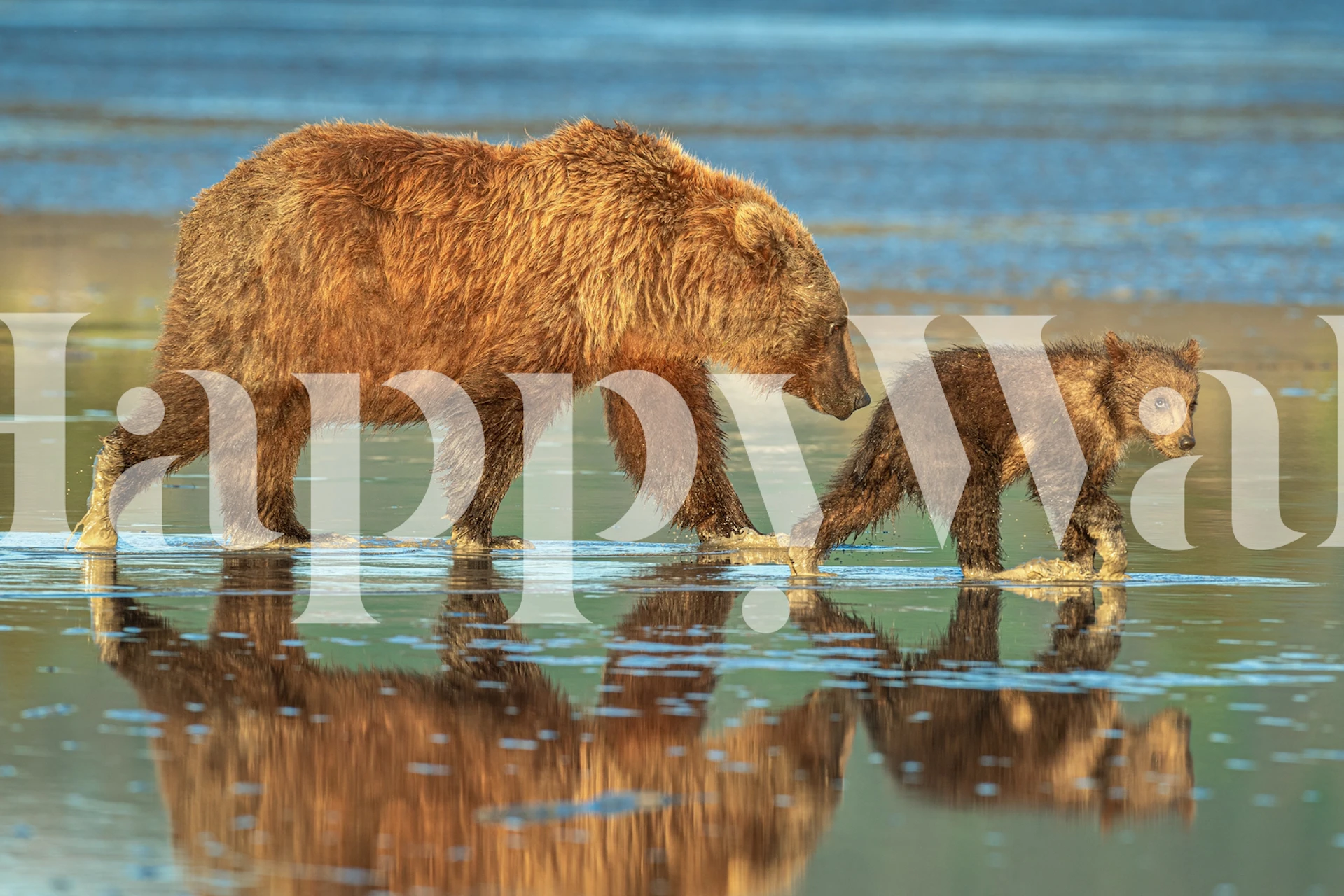 Bear and cub wallpaper in a cozy room