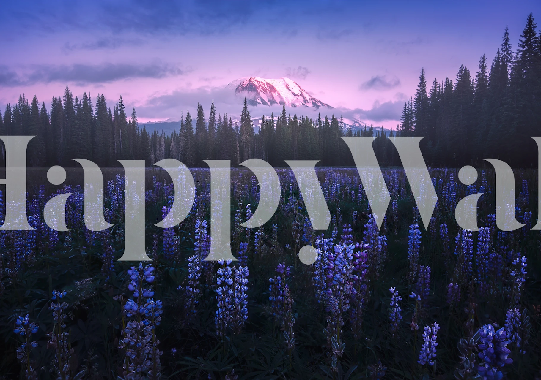 Adams Lupine wall mural with lupine flower field and mountains at dusk
