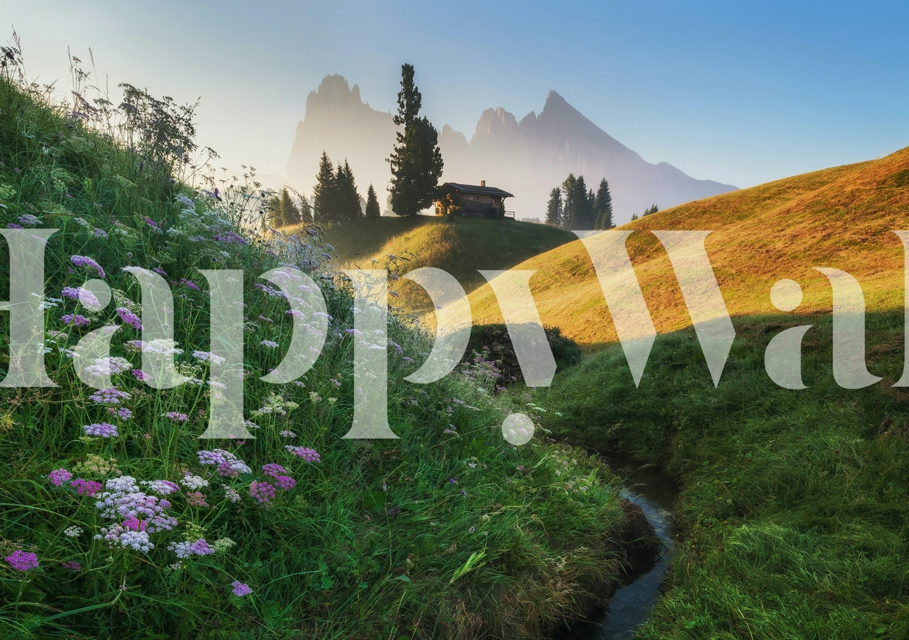 Flowery morning tapetti mukavassa huoneessa