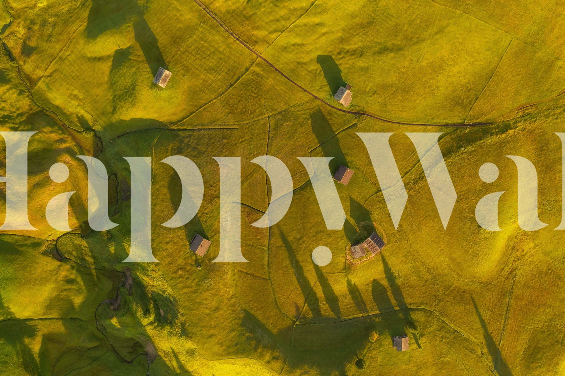 Papier peint paysage aérien avec des teintes dorées et des motifs ombragés ressemblant à des oiseaux en vol