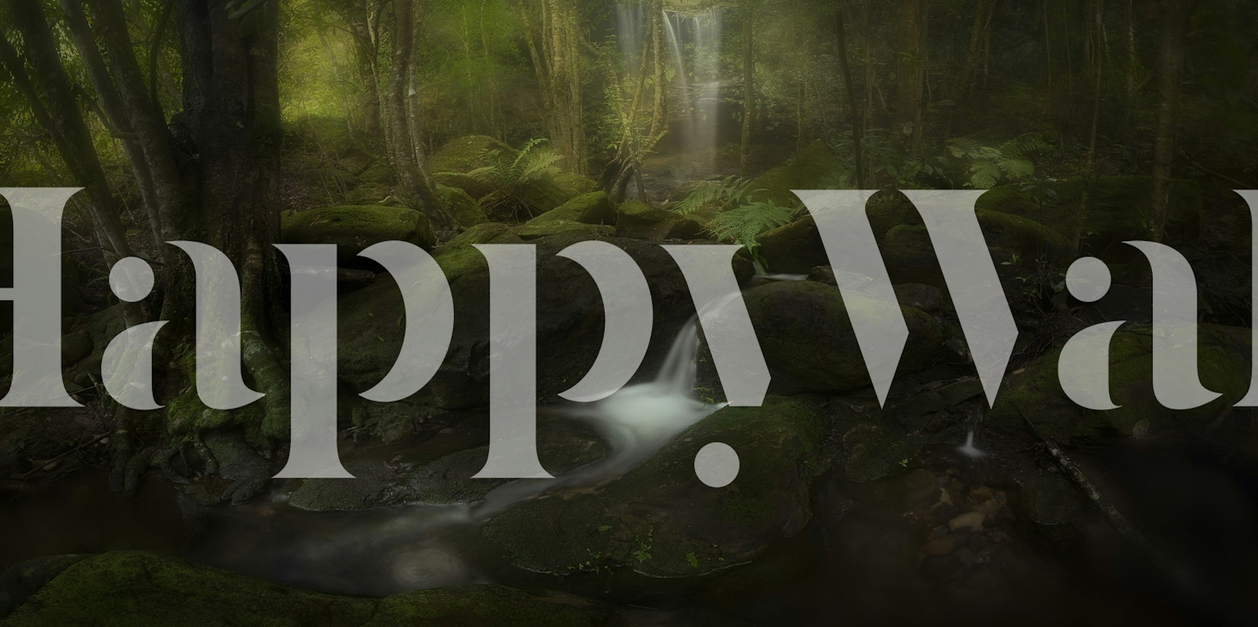 Lush green forest with a waterfall and rocks wallpaper