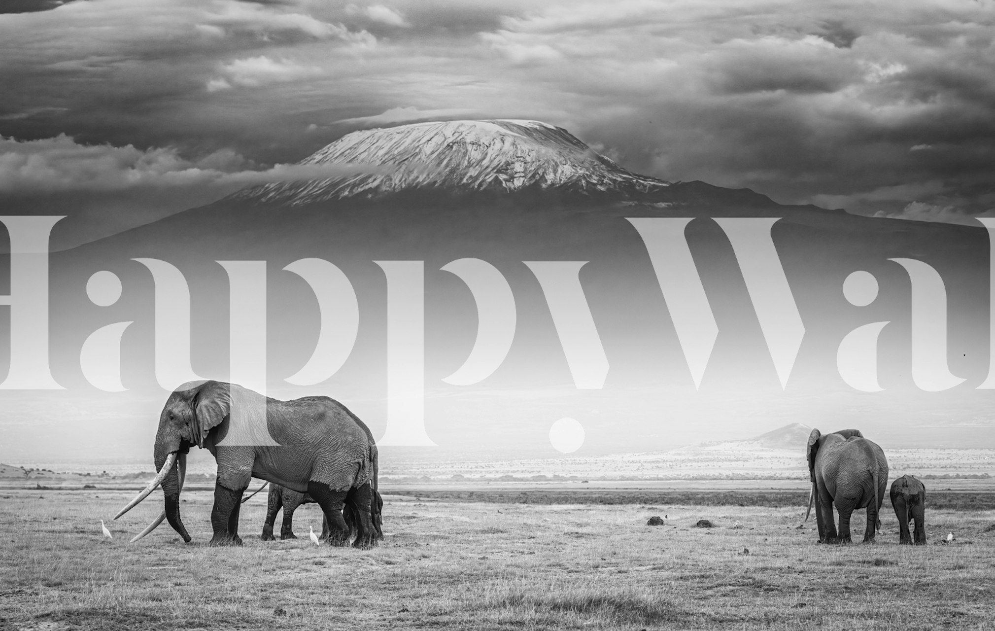 Elephant family with mountain range in grayscale wall mural