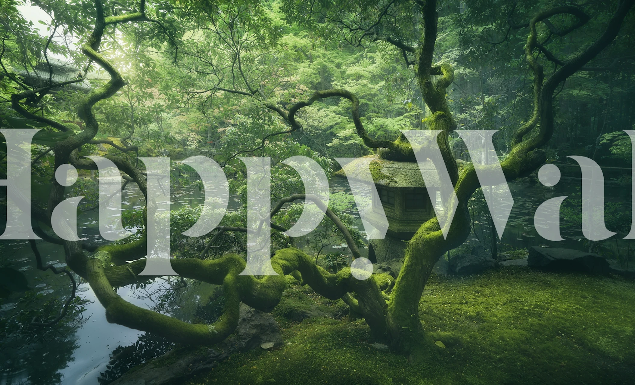 Japanese tree with twisting branches and lush greenery wallpaper