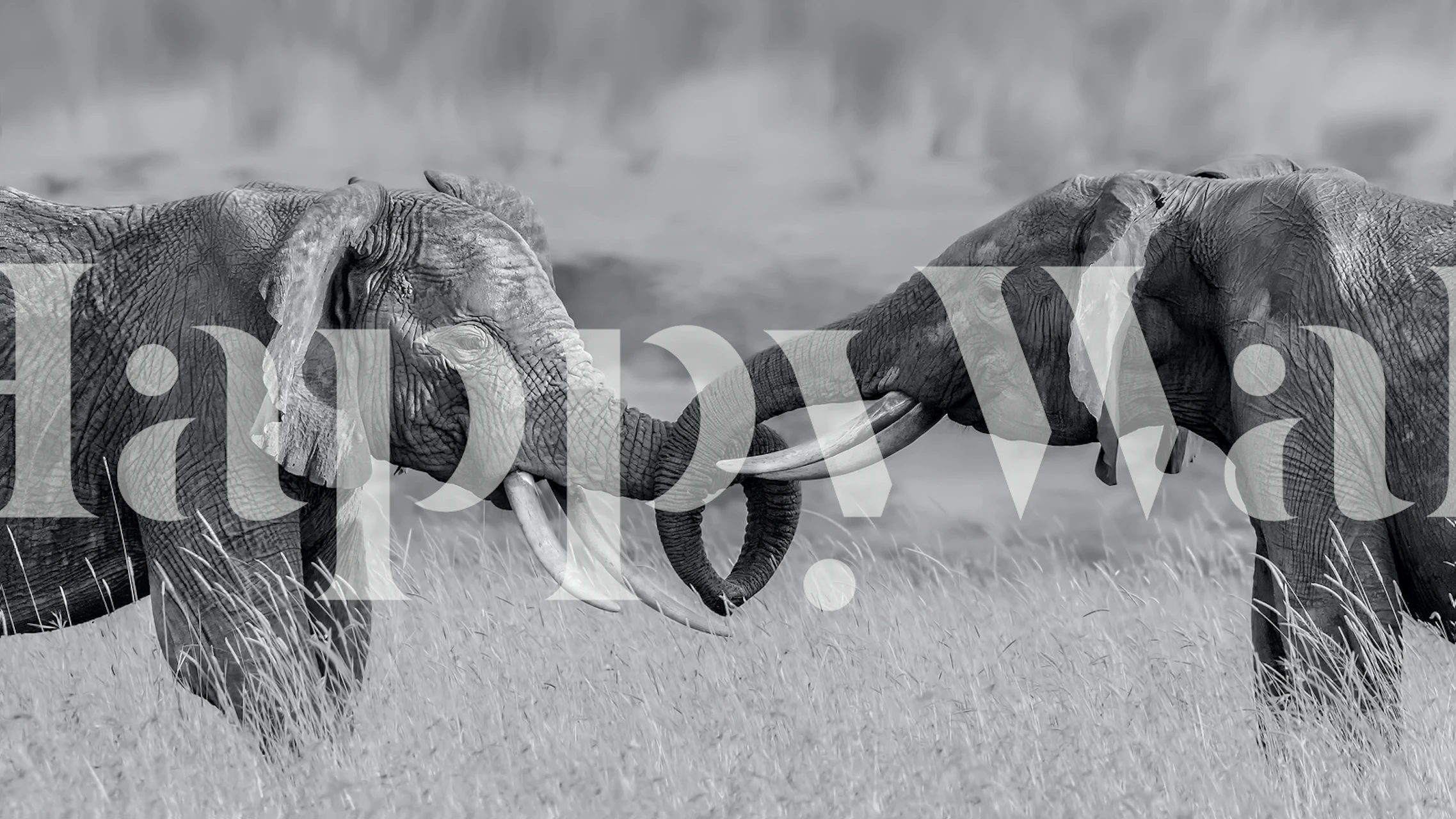 Colorful wallpaper design in a cozy room