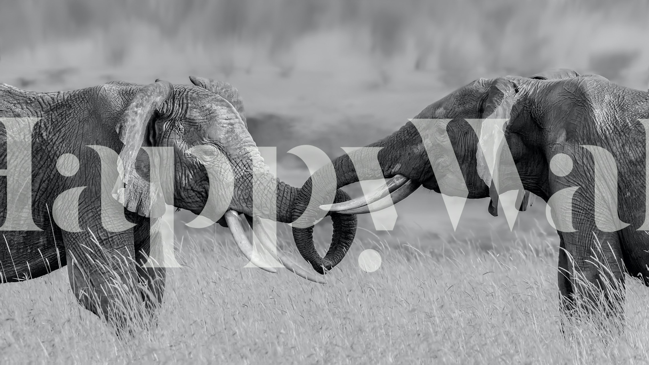 Färgglad tapetdesign i ett mysigt rum