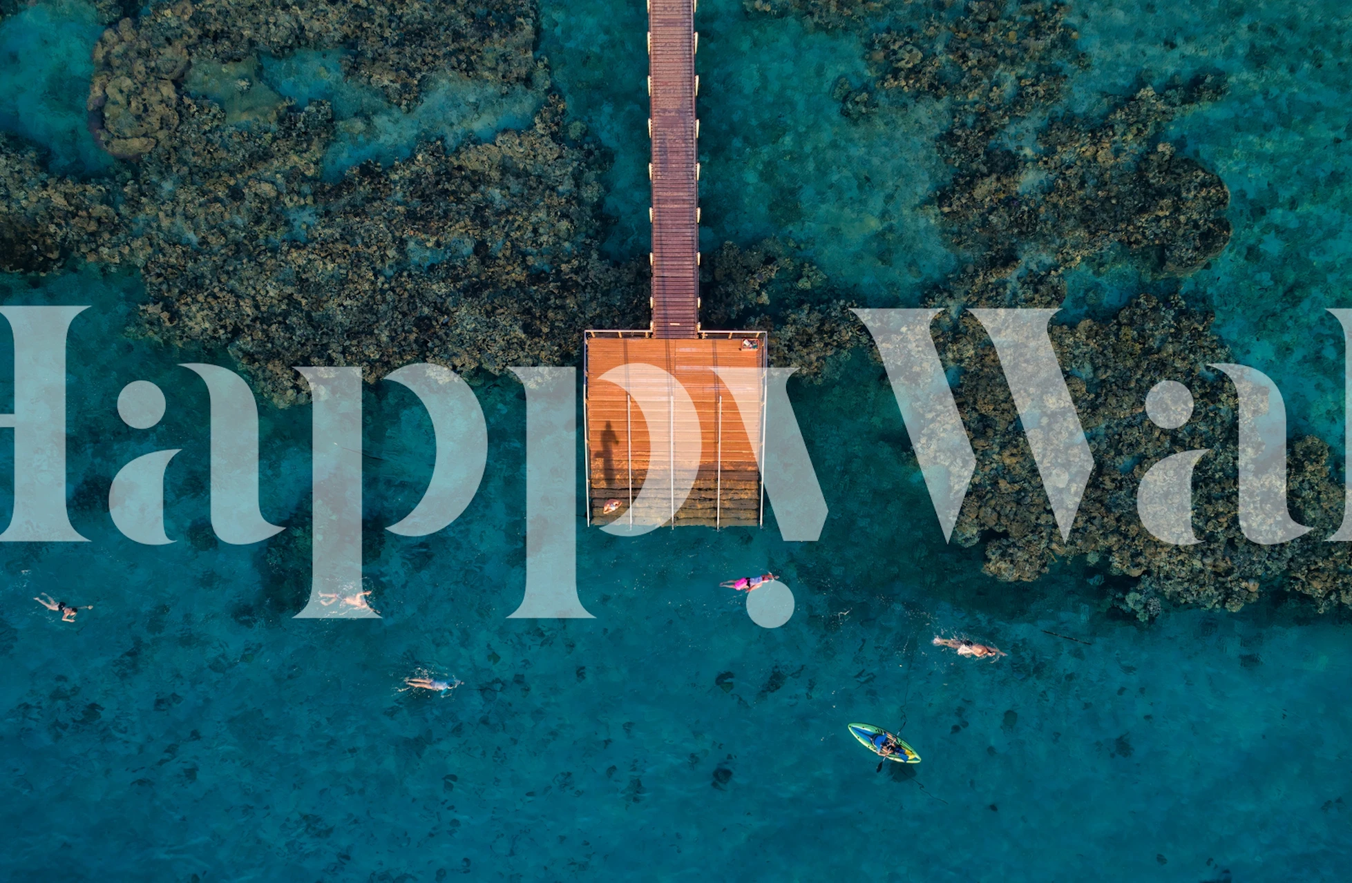 Carta da parati Coral escape in una stanza