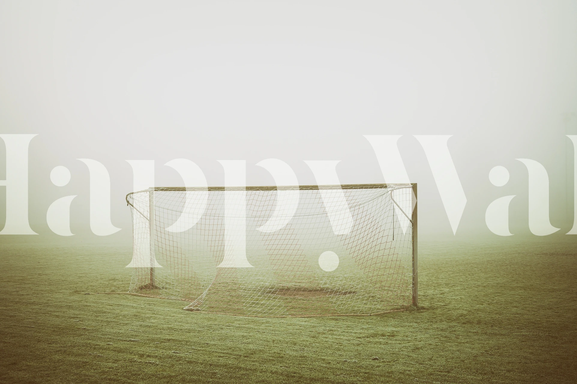 Foggy scene wallpaper in a room