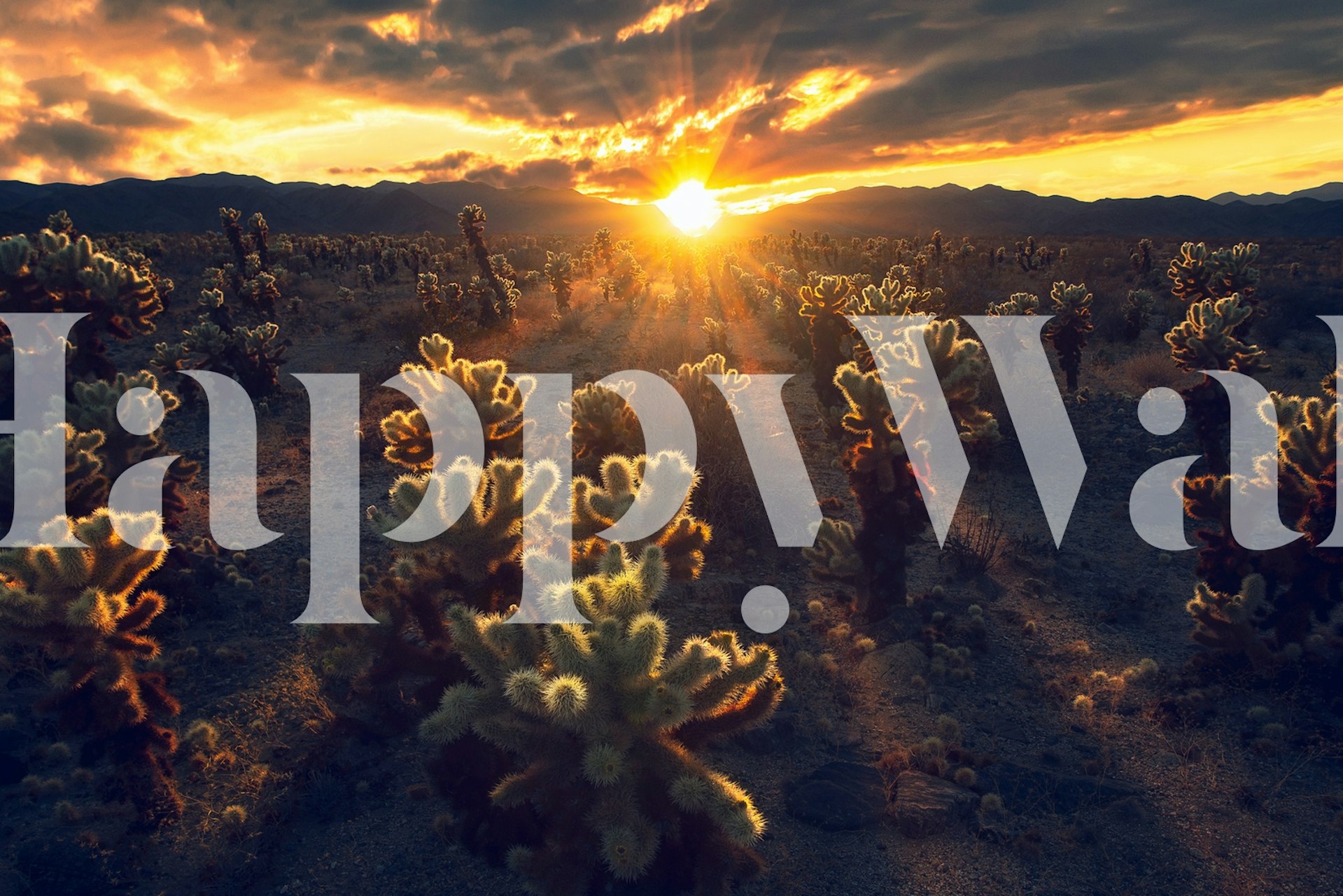 Floral patterns in red, black, and gold tones wall mural wallpaper