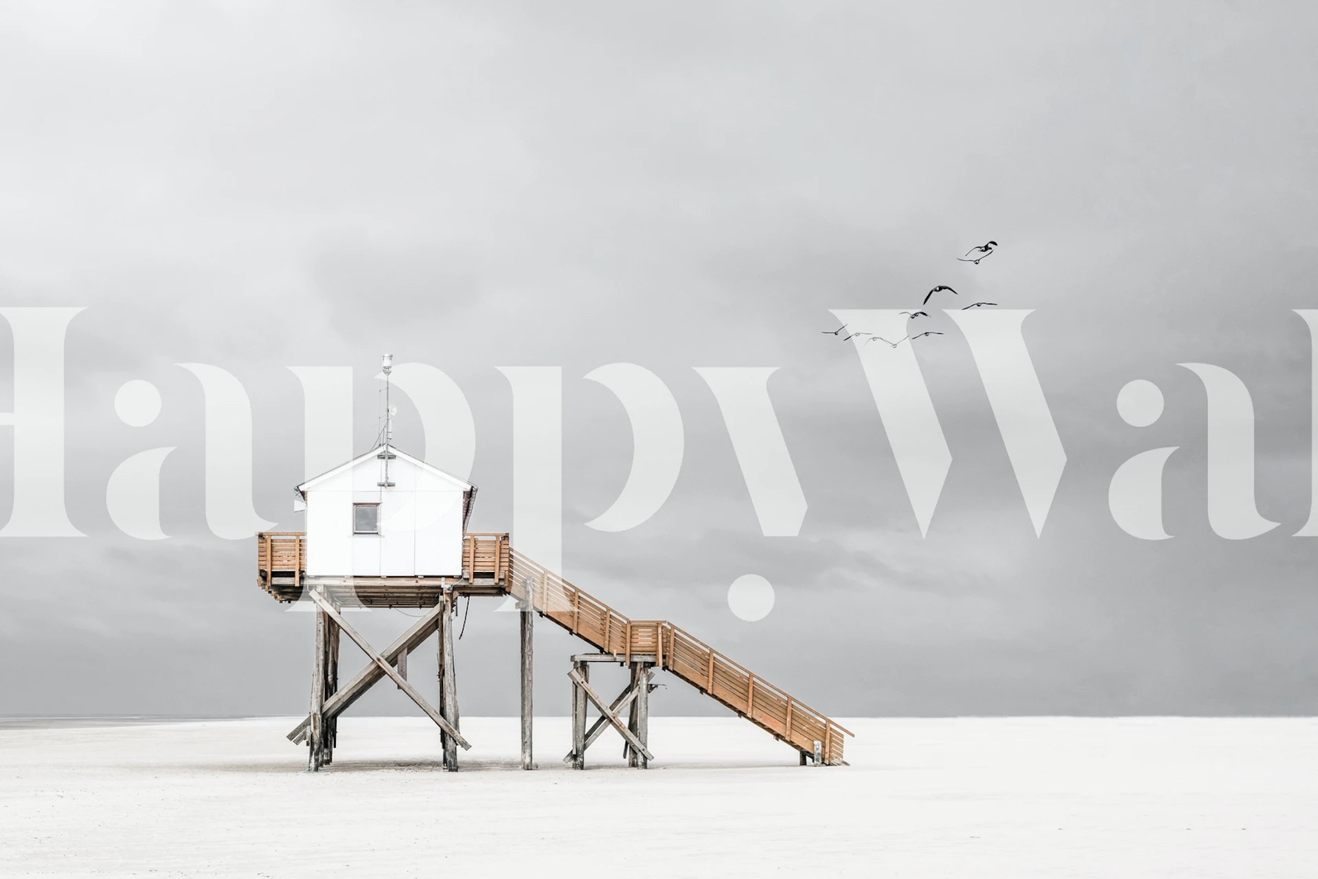 Black and white beach house with wooden stairs and birds wallpaper