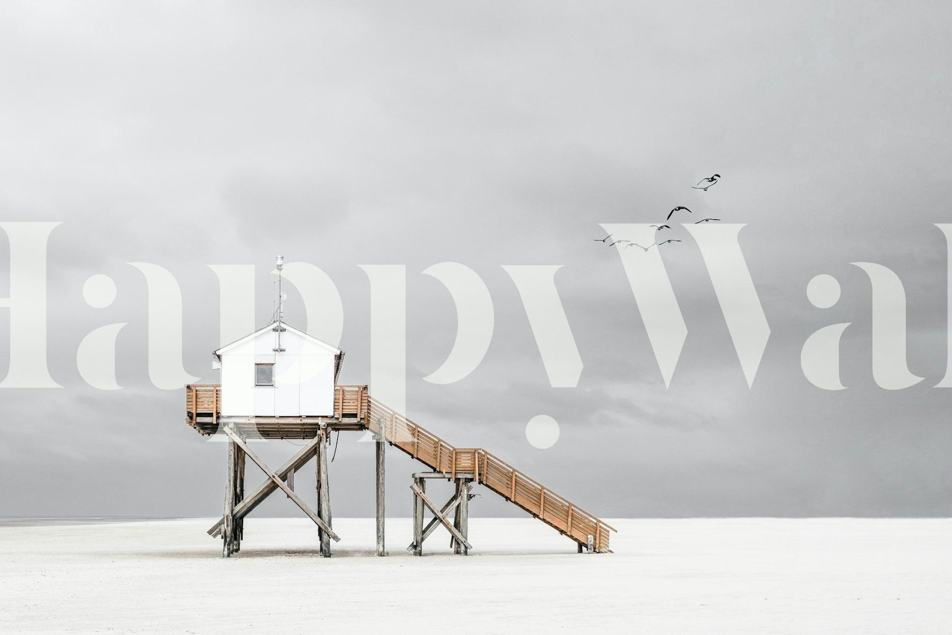 Black and white beach house with wooden stairs and birds wallpaper