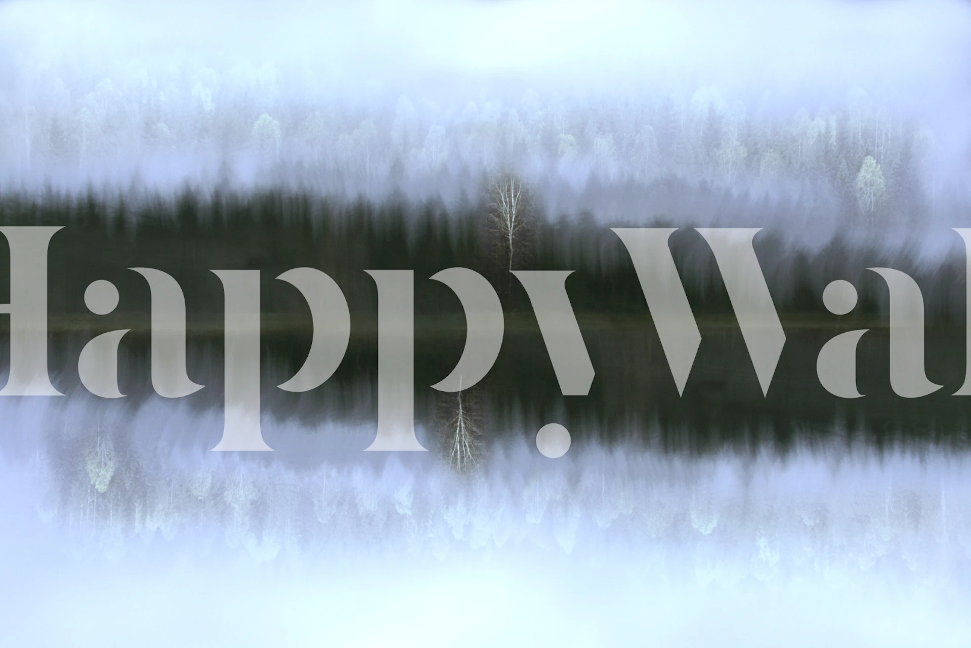 Foggy forest landscape with a single tree reflection wallpaper