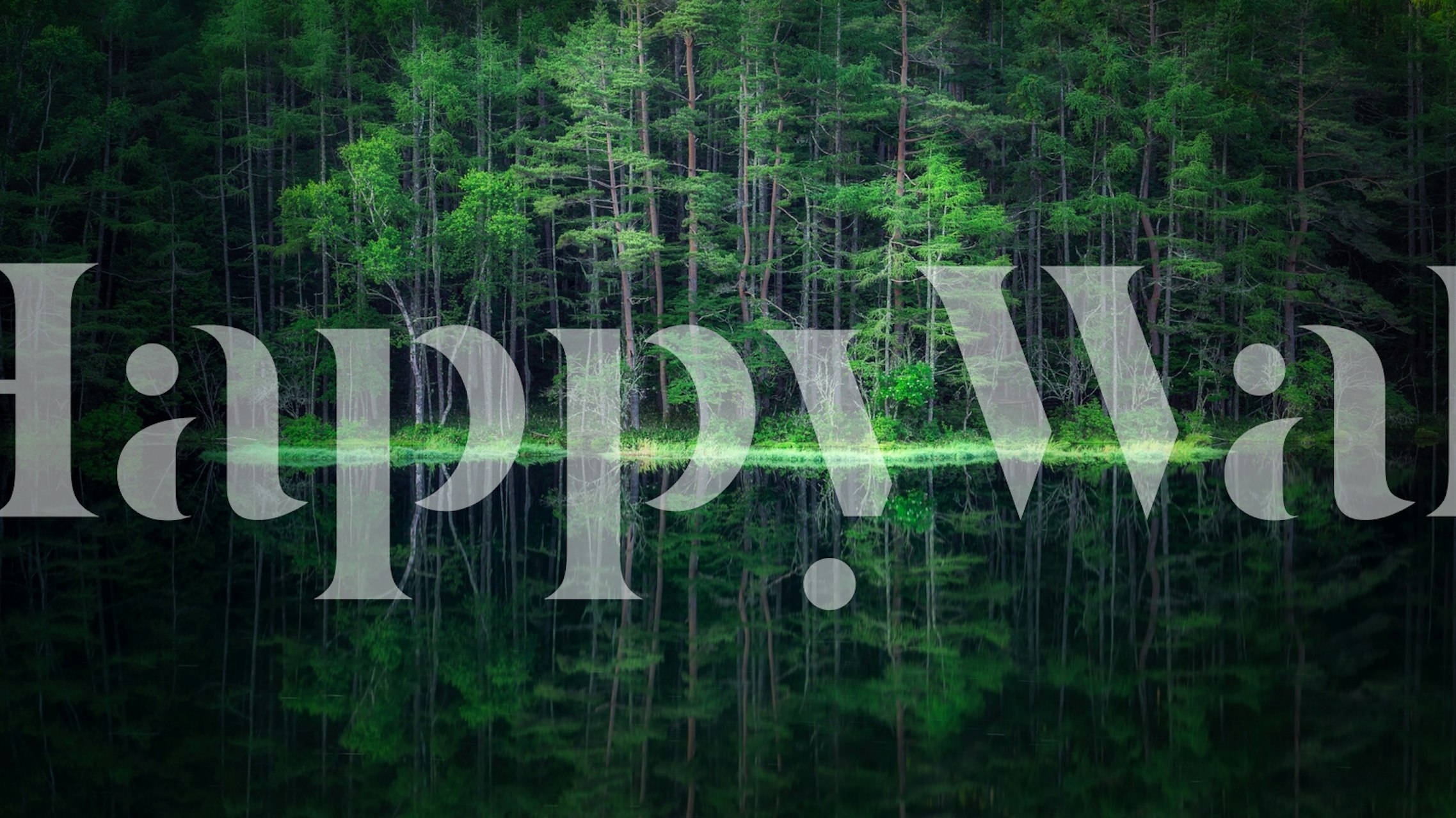 Lush forest reflectie behang ontwerp