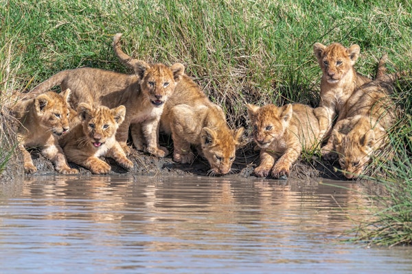 Putting the band back together