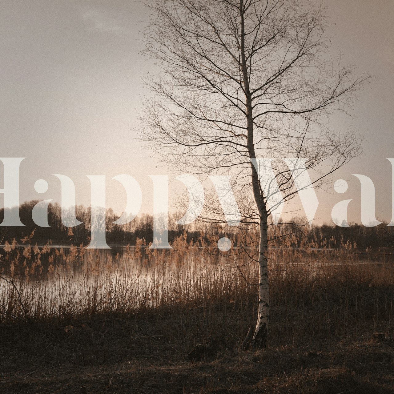 Spokojna, jesienna fototapeta z krajobrazem przedstawiająca pojedyncze nagie drzewo nad jeziorem