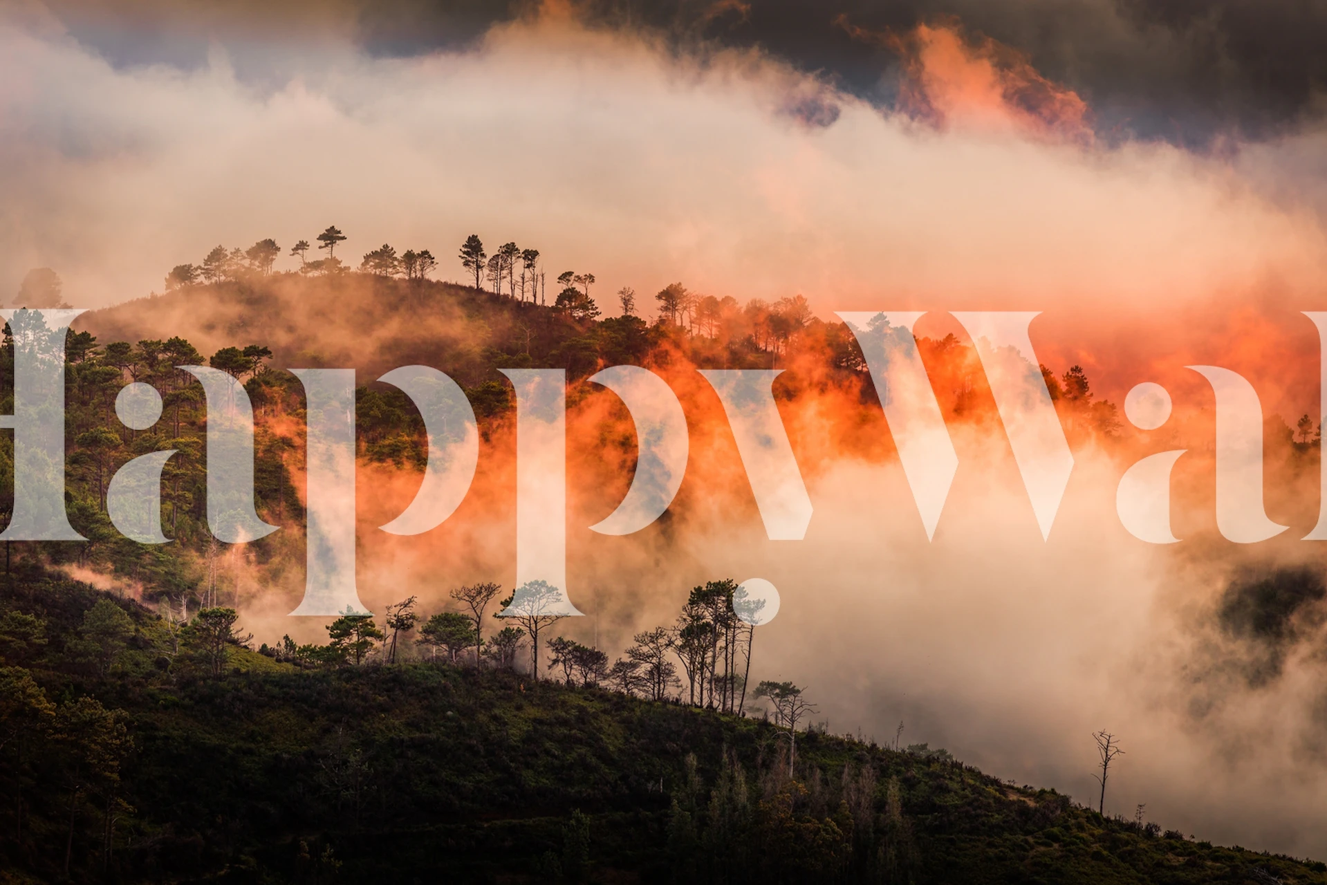 Sunset landscape with orange and gray clouds over a tree line wallpaper