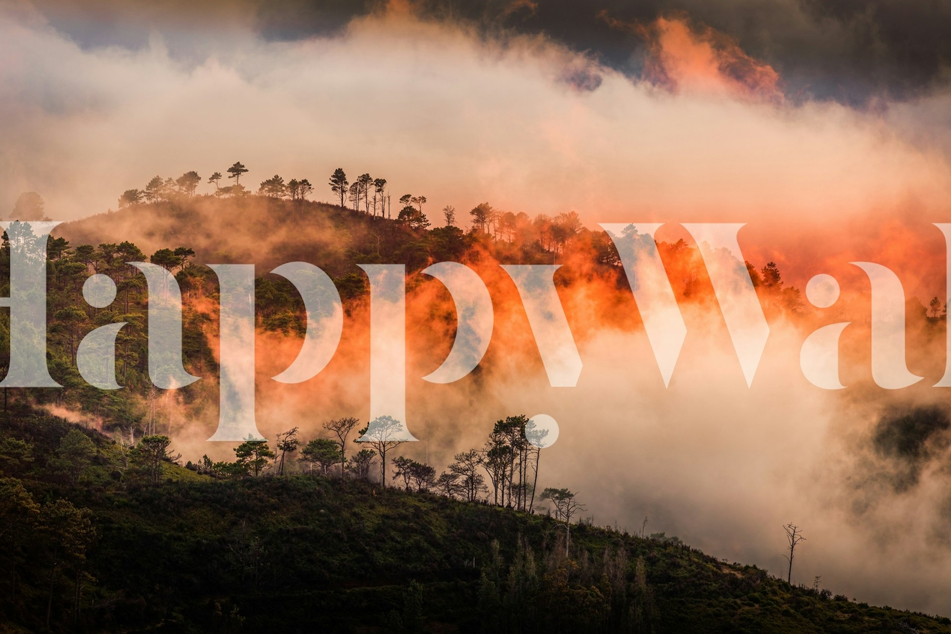 Sunset landscape with orange and gray clouds over a tree line wallpaper