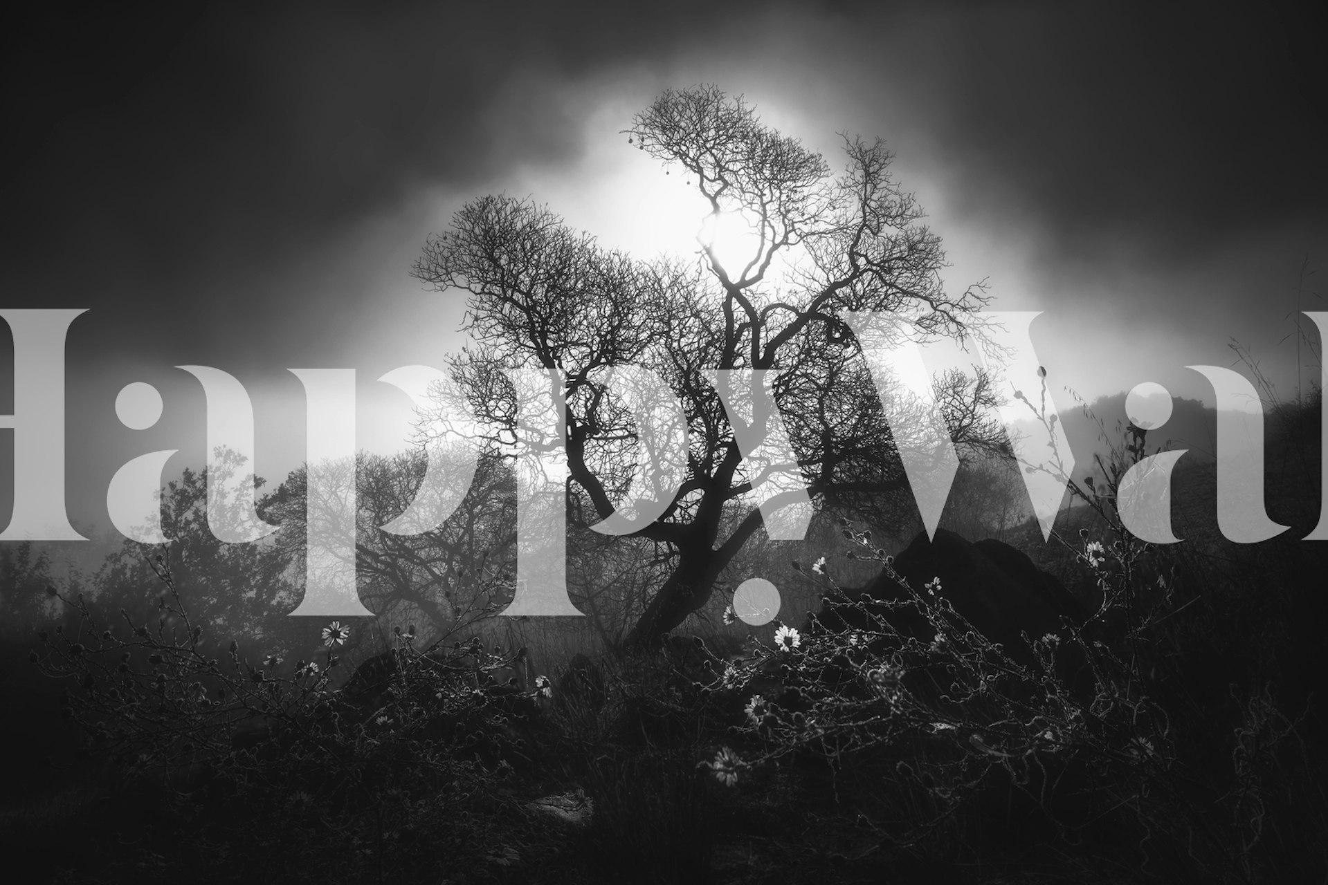 Black and white wall mural of a tree silhouette in dense fog