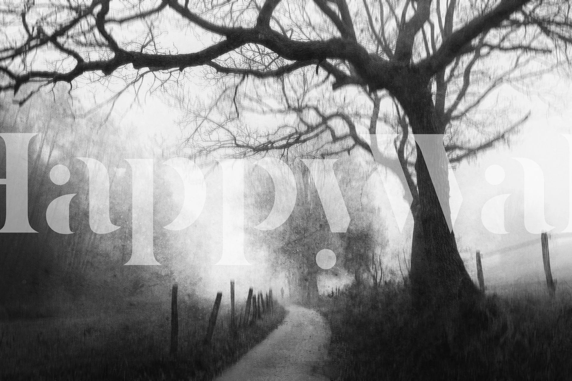 Black and white misty landscape with a lone path and silhouetted trees wall mural