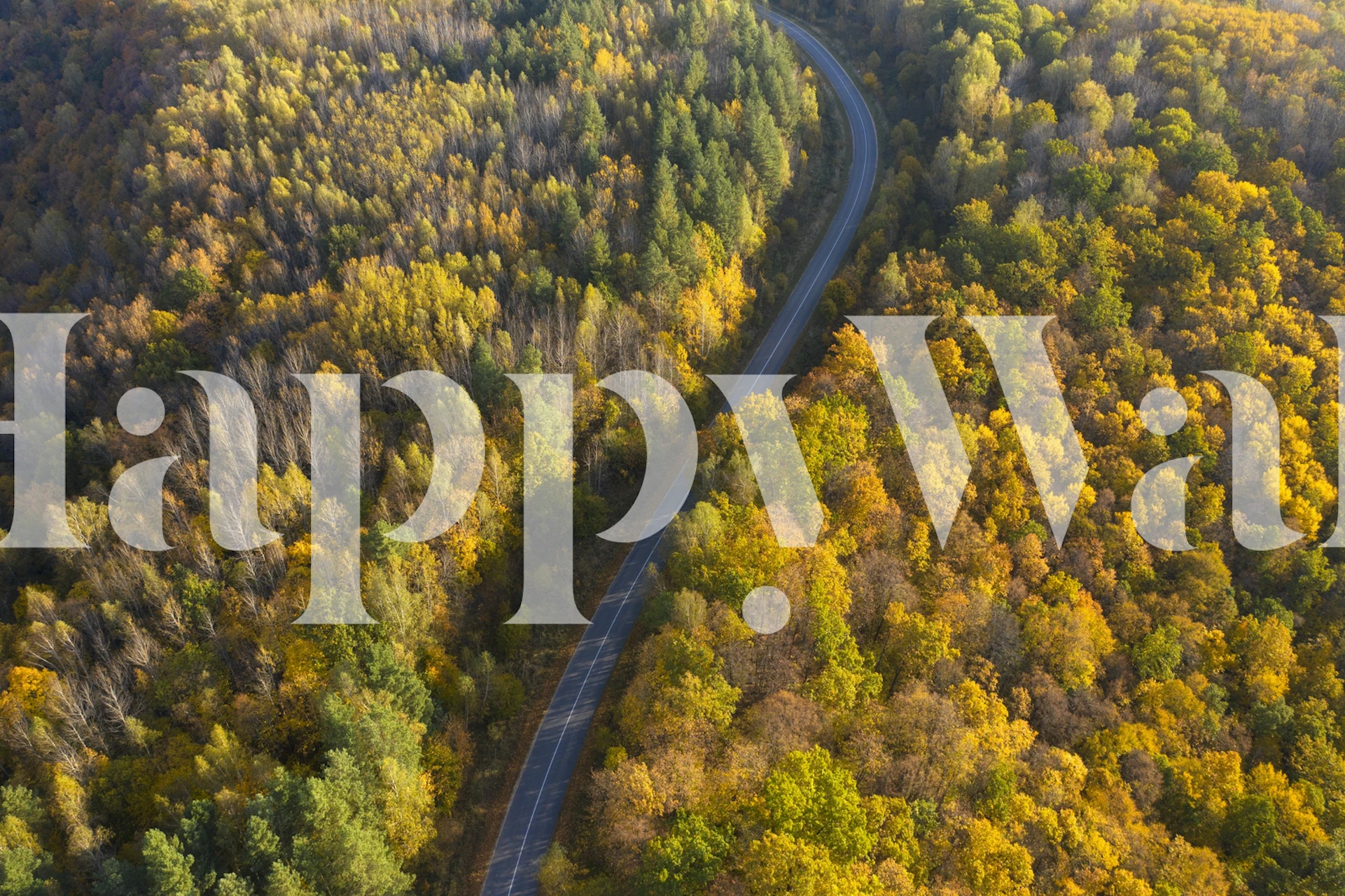 Autumn wallpaper design in a room