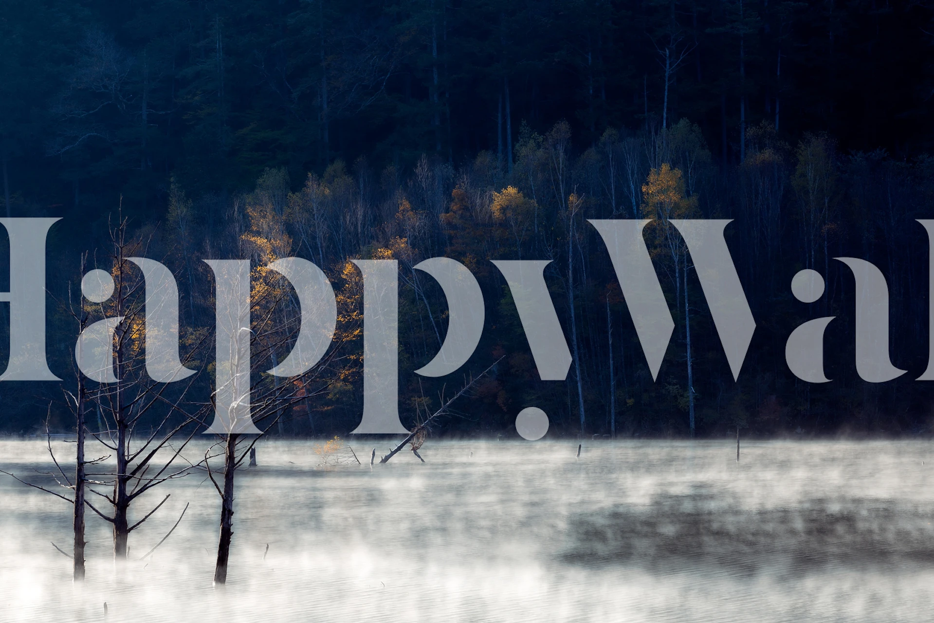 Misty forest scene with autumn trees and water wallpaper