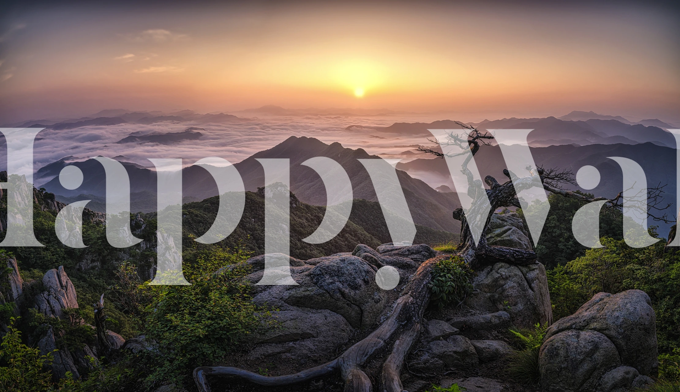 Sunrise on Top sobre montanhas papel de parede em um quarto