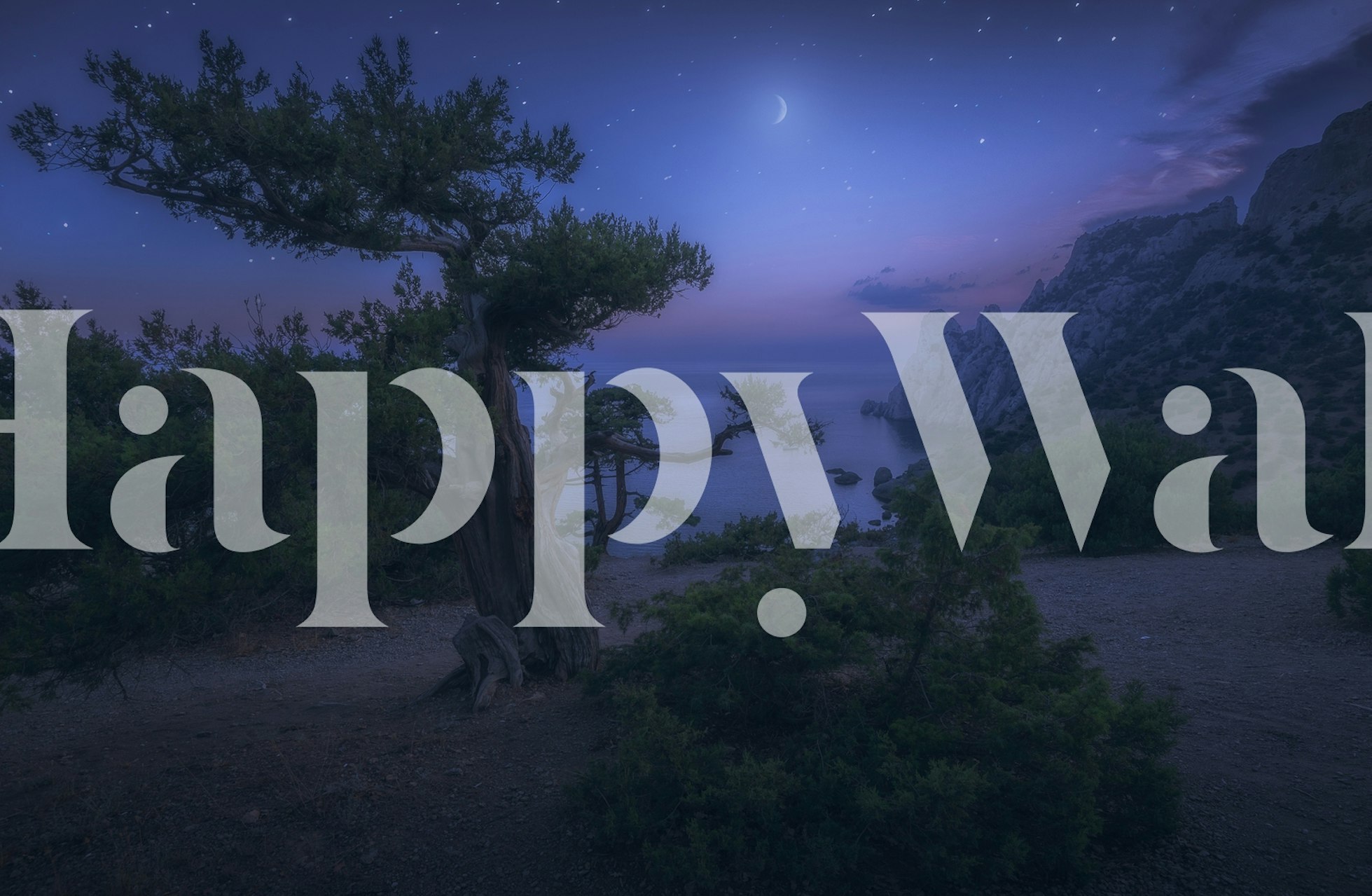 Tranquil moonlit landscape with silhouetted trees and starry sky wall mural